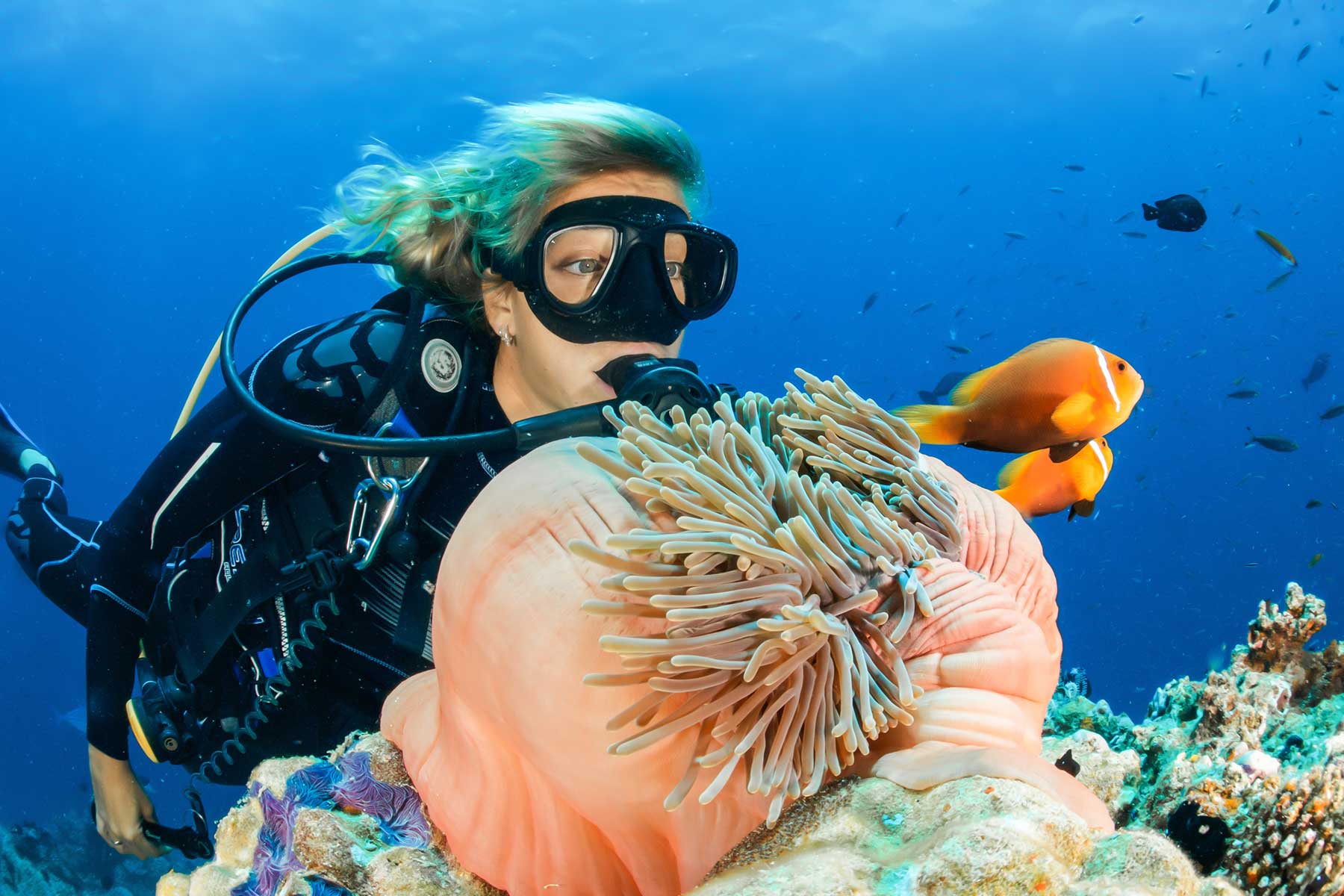 Deep Blue Diving Club